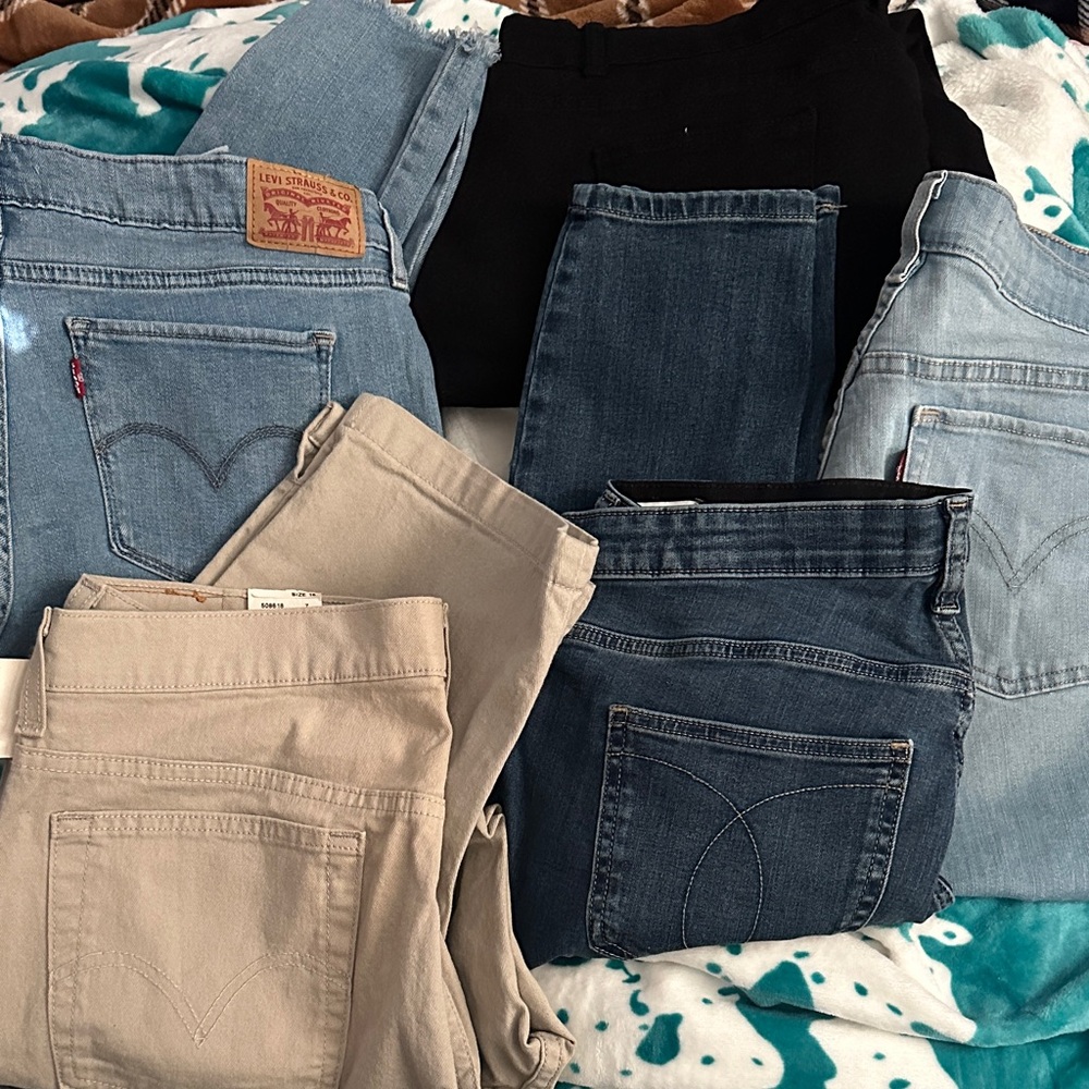 Levi's Women's Straight Leg Jeans in Light Blue, Dark Blue, Black, and Ck.  16w